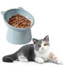 QPOIBSD Tilted Raised Posture for Cat Food Bowl Neck for Protection Anti Vomiting 45 Degree Elevated Slanted Stand Bowls for Cat Tilted Bowl Diameter Approx.13.7cm/5.39in (Baby Blue)