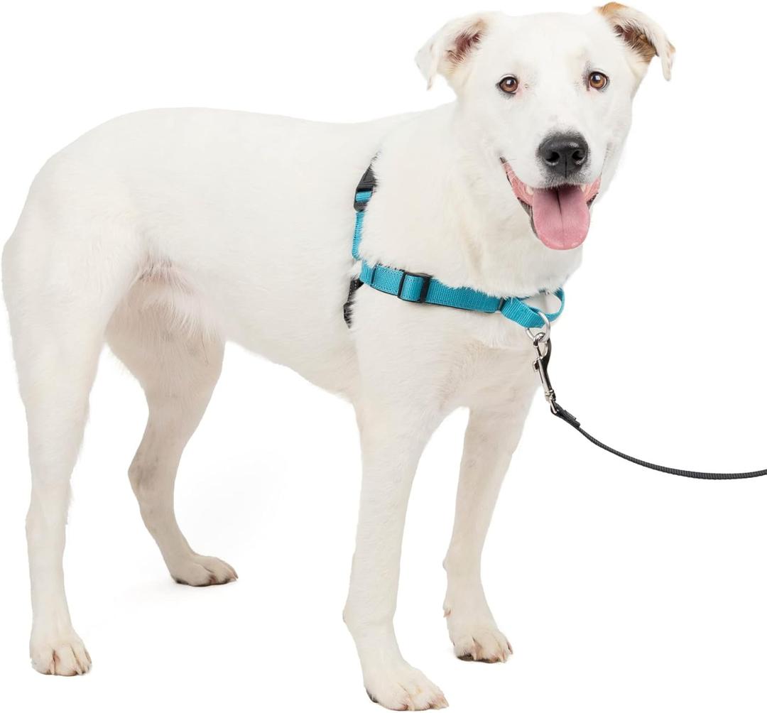 PetSafe Easy Walk Deluxe Dog Harness, No Pull Dog Harness  Perfect for Leash & Harness Training  Stops Pets from Pulling and Choking on Walks  Medium/Large, Ocean