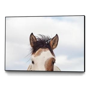 Giant Art Canvas 20x22 Eyes Up Framed In Pink