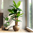 Erimda 8.2FT Artificial Banana Tree, Lifelike Fake Banana Leaf Tropical Silk Tree, Easy Assembly Faux Floor Plant with Sturdy Trunk, Maintenance Free for Indoor Home Patio Pool Outdoor Tropical Decor