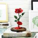 URBANSEASONS Beauty and The Beast Rose, Light Up Forever Roses Birthday Gifts for Women Mom Grandma, Red Rose Gift for Her Valentine Mothers Anniversary