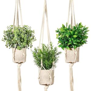 Artificial Plants 3 Pack Mini Fake Hanging with Macrame Plant Hangers Decorative Faux Greenery Decor for Shelves Wall Kitchen Farmhouse Bathroom Home Office (Eucalyptusgreen)