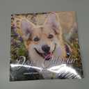 4 x 2026 Wall Calendar - Calendar 2026: January 2026 - December 2026, 12" x 24" (Opened), Full Page Monthly View, Thick & Sturdy Paper for Gift, Perfect Calendar Organizing & Planning - Dogs Theme (Green)