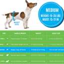 Bodhi Dog Disposable Male Dog Diapers - Super Absorbent, Leak-Proof Pee Wraps - Adjustable Fit, Comfortable Design, Advanced Moisture Control, and Wetness Indicator - Medium (20 Count)