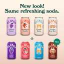 OLIPOP Prebiotic Soda Pop, Favorites Variety, Pantry Pack Packed with Prebiotics, Fiber, and Botanicals, Gluten Free, GMO Free, 12oz (12-Cans) (EXP 03/17/27)