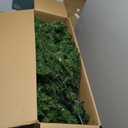 National Tree Company Artificial Pre-Lit Slim Christmas Tree, Green, Kingswood Fir, Multicolor Lights, Includes Stand, 6.5 Feet