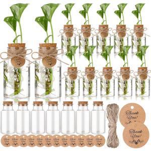 Baderke 24 Pack 4.84'' Plastic Plant Propagation Stations with Hole Lid Planter Vase Clear Propagation Jars with Thank You Tags for Plant Lover Gifts for Women Office Home Garden