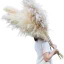 AnziMoss® 55" Tall Pampas Grass with 10 Stems, Pure Natural Dried Color, Large and Fluffy Pompas, Dried Flower for Home Decor, Wedding, Boho, Floor Vase, Floral Arrangement, Craft, Garden