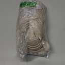 Evridwear Unisex Moisturizing Cotton Gloves with Touchscreen Fingertips for Eczema Beauty Cosmetic Dry Hands Sensitive Irritated Skin Therapy Overnight Bedtime, 6 Pairs, Lightweight-Beige, S/M