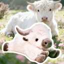 uoozii 24" | 5 Pounds Highland Cow Weighted Stuffed Animals with Removable Unscented Microwavable Pouch, Cute Coolable Warmable Weighted Plush Gift for Kids & Adults (White & Brown)