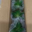 OLEEK small fake plants office decor - fake succulents plants artificial for desk decor - fake plant office decorations for work - office decor for women - office plants cubicle accessories room decor