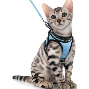 rabbitgoo Cat Harness and Leash Set for Walking Escape Proof, Adjustable Soft Kittens Vest with Reflective Strip for Cats, Comfortable Outdoor Vest, Light Blue, XL