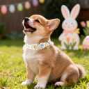 Easter Day Dog Collar, UP URARA PUP Easter Bunny Adjustable Pet Collar with Quick Release, Colorful Rabbits Dog Collars for Small Medium Large Dogs