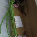 IPOPU Purple Carnations Artificial Flowers,6PCS Real Touch Faux Flowers 20'' Artificial Silk Carnations with Stems for Wedding Bouquet Party Table Centerpieces Home Decor (Purple)