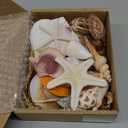 JQAQJU Sea Shells Mixed Beach Seashells 20 Kinds, 1.5"-5.5" Various Sizes Large Ocean Shells Conch 2 Kinds Natural Starfish for Decorating Beach Theme Party Fish Tank Filling Home Decor Wedding