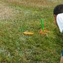 Plastic Horseshoe Game