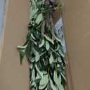 CETRD Artificial Olive Tree, 6FT Tall Faux Olive Trees 72in Outdoor Fake Potted Silk Plant with Trunk and Realistic 648 Leaves and 24 Fruits for Modern Office Home Decor Indoor1pack