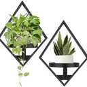 Sbosbo Wall Plant Holder, 2 Pack Metal Floating Plant Shelf Indoor, Window Sill Plant Shelf for Bedroom Bathroom Living Room Home Office