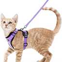 rabbitgoo Cat Harness and Leash for Walking, Escape Proof Soft Adjustable Vest Harnesses for Cats, Easy Control Breathable Reflective Strips Jacket, Light Purple, XS