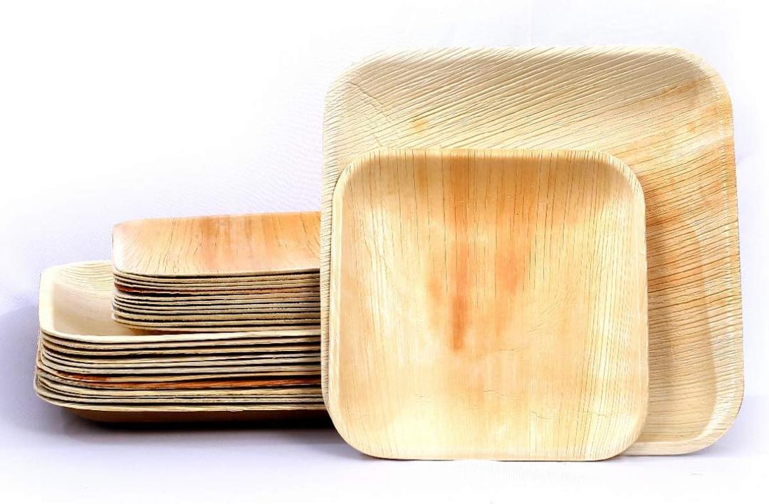 Raj Palm Leaf Plates Plates like Bamboo plates Disposable, Decorative Compostable Tableware for wedding, Lunch, Dinner, Birthday, Camping, Outdoor BBQ, Picnic (9.5"x12 7"x12 (24 Pack))