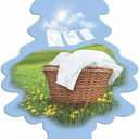 LITTLE TREES Car Air Freshener | Hanging Paper Tree for Home or Car | Summer Linen | 6 Pack