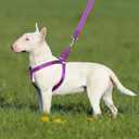 Plutus Pet Step in Dog Harness, Reflective, Adjustable, and Secure with Metal Buckles, Quick Fit Dog Harness for Puppy, Small, Medium and Large Dogs, Purple, S