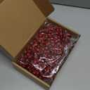 Knitgrip 500 Pcs Artificial Holly Berries, Mini 10 mm Christmas Fake Berry with Stem Berry Picks for Xmas Tree Home Decoration Wreath DIY Craft Winter Holiday Party(Red,Glitter)