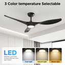 Roomratv Ceiling Fans with Lights and Remote Control,Quiet Noiseless Reversible DC Motor,6 Speeds,Timers, 3 CCT, Indoor Use, Plastic Blades,52 Inch Black Modern Ceiling Fan for Bedroom Living Room
