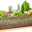 Succulent Pots - 12 Inch Large Succulent Planters with Drainage Tray, Window Sill Planter, Long Rectangle Ceramic Pots for Indoor Cactus Plants Shallow Bonsai Window Box for Home Garden Decor (Green)