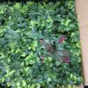Artificial Grass Wall Panels, 20"x20" 6pcs Greenery Backdrop with Mint Plant Leaves, UV-Anti Fake Greenery Plant Boxwood Panels for Privacy Fence Screen, Outdoor Green Wall Decor for Patio Garden