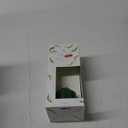 Fresh-Cut Basil Petite Reed Diffuser