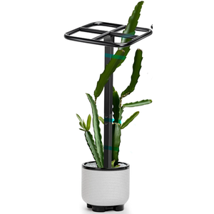  Dragon Fruit Trellis Adjustable Metal Garden Plant Climbing Support with Wide Stretch Ties for Outdoor Vertical Gardens Vining Plants(48 Inch)
