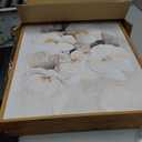 Anyzal Framed Beige Floral Wall Art Neutral Flower Wall Decor for Living Room Bedroom Dining Room 16x24 Inch Set of 3