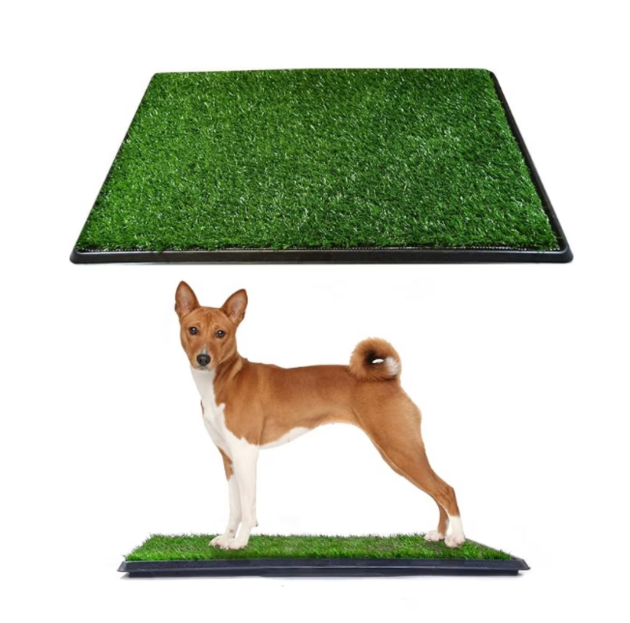 Downtown Pet Supply Dog Grass Pad with Tray, 20 x 25 - Outdoor and Indoor Potty System for Dogs with Replaceable Synthetic Grass Pee Turf - Portable and Waterproof Turf Dog Potty