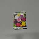 3 x Seeds Dahlia Pompon Mix Annual Beautiful Flower Non GMO