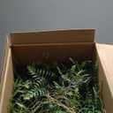 QIANYUN Outdoor Fake Hanging Fern  Artificial Hanging Ferns 2 Pack, Large Faux Boston Fern Bushes, UV Resistant Outdoor Hanging Plants for Front Porch, Patio & Indoor Decor (Green)