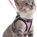 rabbitgoo Cat Harness and Leash Set for Walking Escape Proof, Adjustable Soft Kittens Vest with Reflective Strip for Cats, Comfortable Outdoor Vest, Pink, S