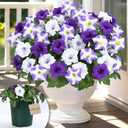 MARTINE MALL Artificial Flowers for Outdoors, 1 Potted Realistic Fake Outdoor Flowers, UV Resistant Silk Petunia Flower for Outside Look Real Faux Flower Plants in Pot for Porch Garden Decor, 20'' (Purple White)