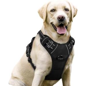 rabbitgoo Dog Harness No Pull with 2 Leash Clips, Adjustable Soft Padded, Reflective Oxford No Choke Pet Vest with Easy Control Handle for Large Dogs, Black, Size L