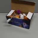 Halloween Lights, 16.4FT 30 LED Pumpkin Bat Ghost Battery Operated Orange and Purple String Lights Strobe 8 Lighting Modes Timer Fairy Indoor Outdoor Window Front Porch Decor Party Decorations