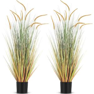 Jexine 2 Pcs 4 ft Fall Setaria Grass Plants in Pots