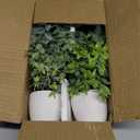 FAVOWREATH 4 Pack Fake Plants Ceramic Mini Artificial Greenery Potted Plants for Home Decor Office Decor Room Decor Farmhouse Decor Indoor Table Bathroom Decor
