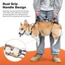 Dog Lift Harness, Dog Lift Sling Carrier with Handle & Shoulder Sling, Support Harness for Rear Back Legs Helps,Disabled,Arthritis,Joint Injuries,Paralysis Up StairsOrange,Medium