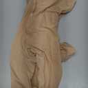 VEBZIN Pantyhose Sheer Tights for Women Nude High Waisted Sheer Pantyhose (Small)