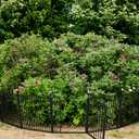 Garden Fence, IGOOUO Garden Fence Animal Barrier 36'' High,17.8ft Long Fence Panels Animal Barrier, Temporary Pool Fence (7 Panels +1 Door +8 Stakes)