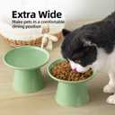 6.2 Inch Extra Wide Elevated Ceramic Cat Bowls, Food and Water Bowl Set for Elder Big Cats Small Dogs, Raised Design for Pet Easy Eating, Protect Cat's Spine Set of 2(Light Green)