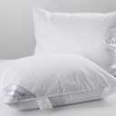 Natural Goose Down&Feather Pair Pillows Insert, Set of 2 Bedding Soft Pillows 100% Soft Cotton Queen 20x30in