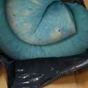 Sweetcrispy Mattress Topper King, 4 Inch Thick Memory Foam Gel Infused Cooling Toppers Pad for King Size Bed, Sleeper Sofa, RV, Camper, CertiPUR US Certified, Ventilated and Breathable