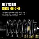 Monroe Quick-Strut 172379 Suspension Strut and Coil Spring Assembly for Nissan Sentra