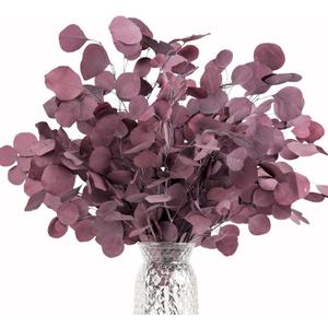 Real Eucalyptus Stems 20PCS Dried Preserved Eucalyptus - Fresh Eucalyptus Silver Dollar Leaves for Shower - Red Branches for Wedding Home Party Vase Filler Fall Decor